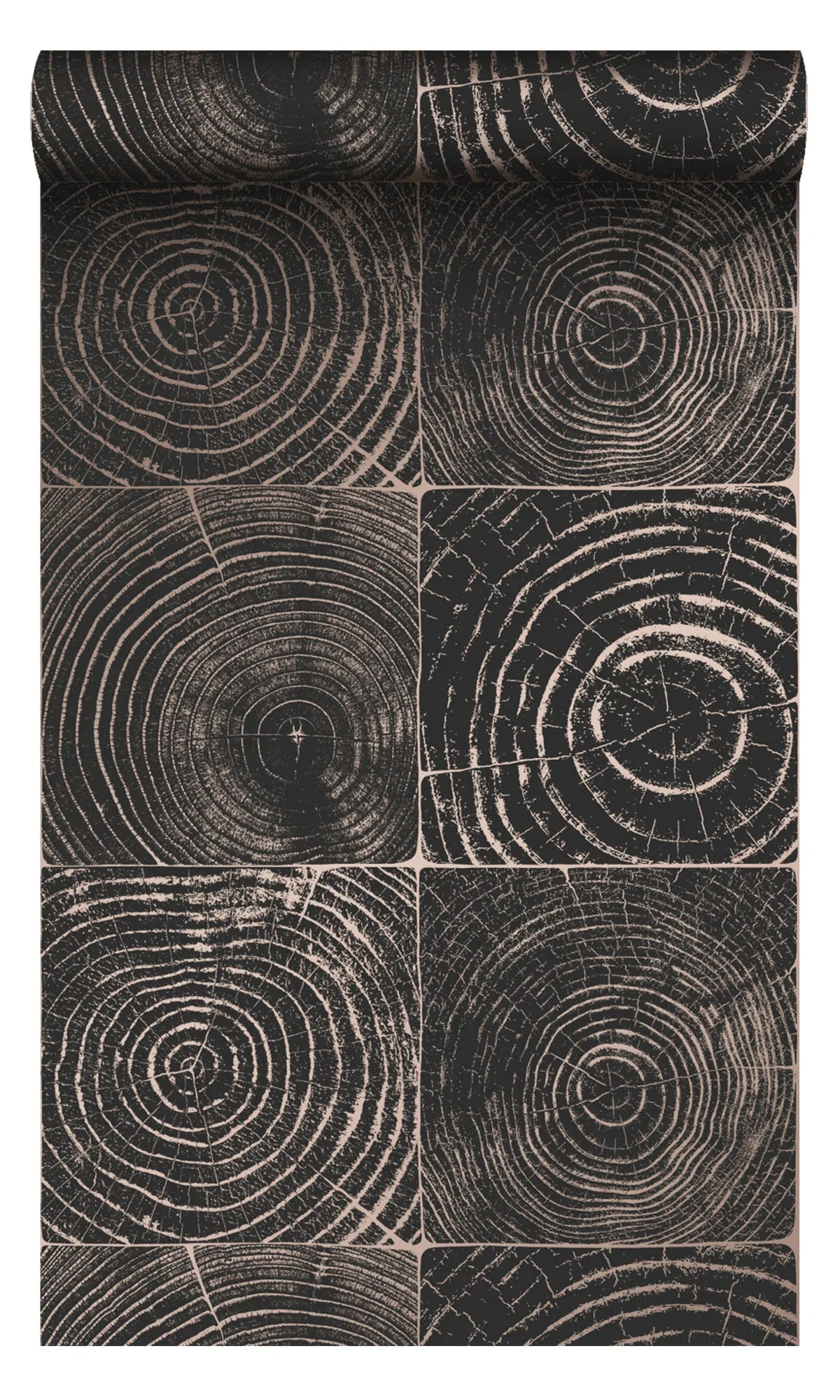 Origin Matt Black & Shiny Bronze Cross-Sections Tree Trunks 347550