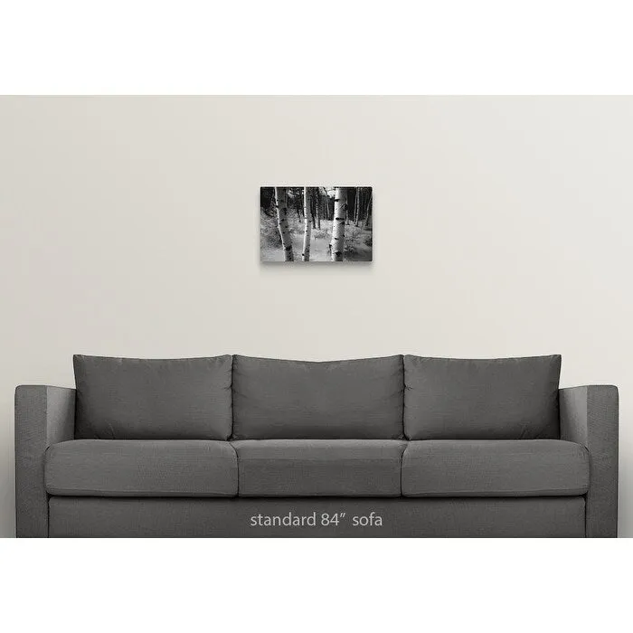 "Aspen trunks, winter scene" Canvas Wall Art