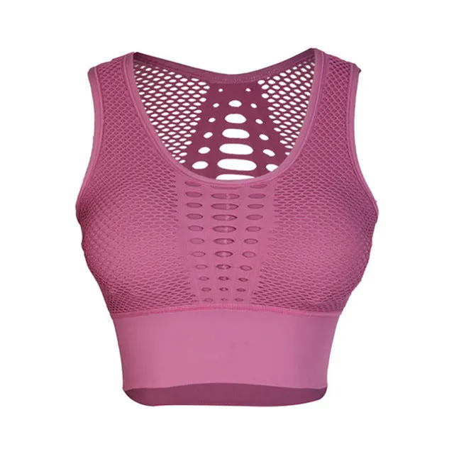Seamless Push Up Fitness Bra/ Sports Bra