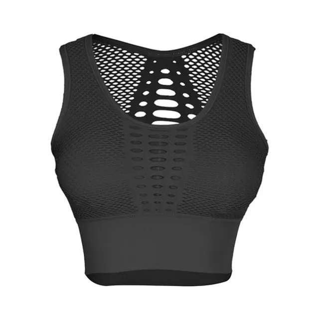Seamless Push Up Fitness Bra/ Sports Bra